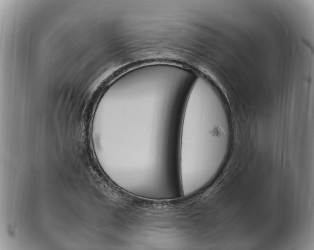 X0000102520975200808081026