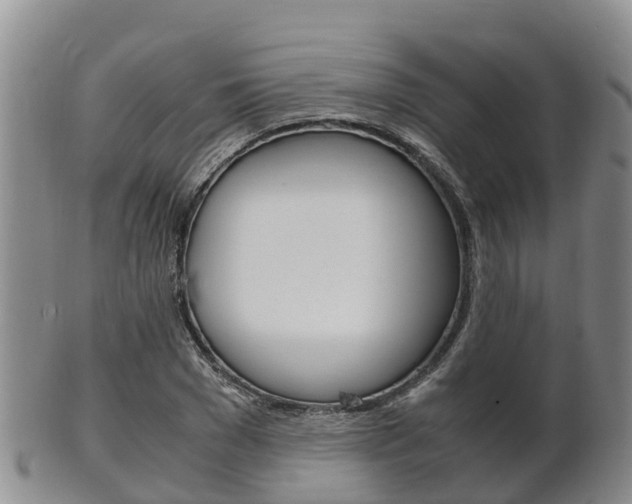 X0000102520977200808081026