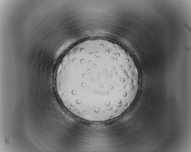 X0000102520978200808081026
