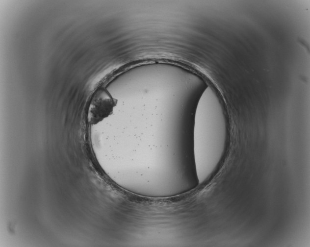 X0000102520979200808081026