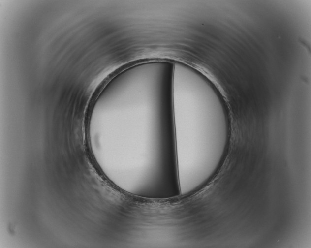 X0000102520980200808081026