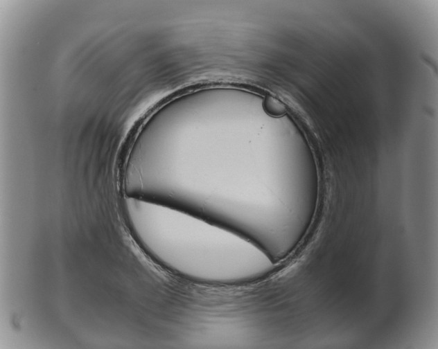 X0000102520981200808081026