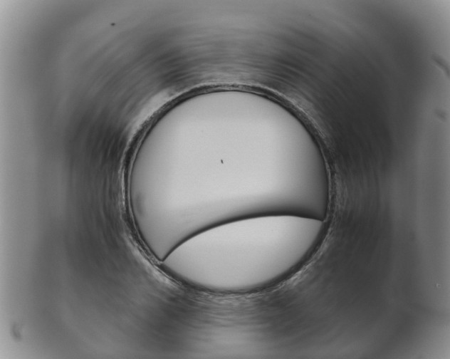 X0000102520982200808081026
