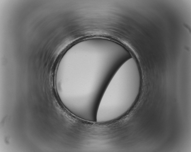 X0000102520983200808081026