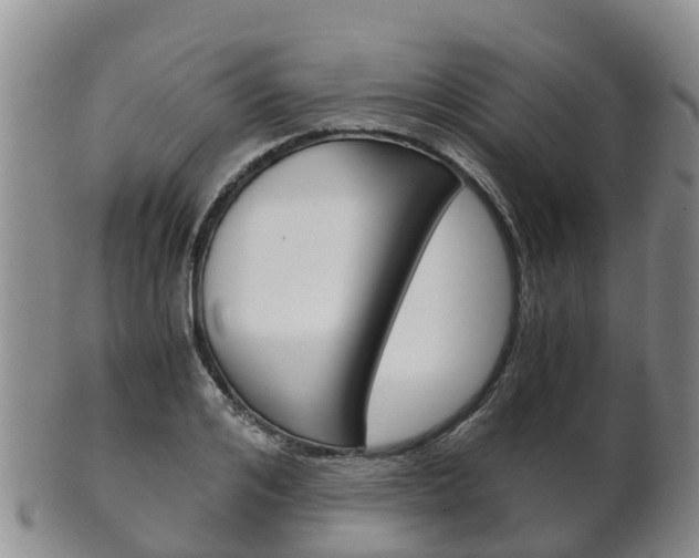 X0000102520984200808081026
