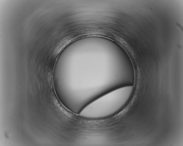 X0000102520985200808081026
