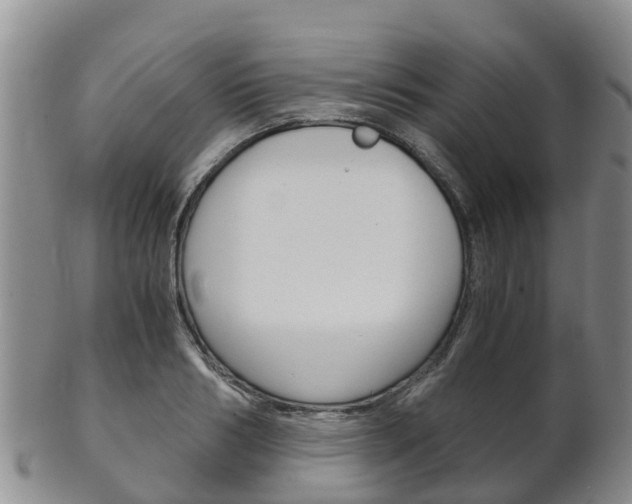 X0000102520986200808081026
