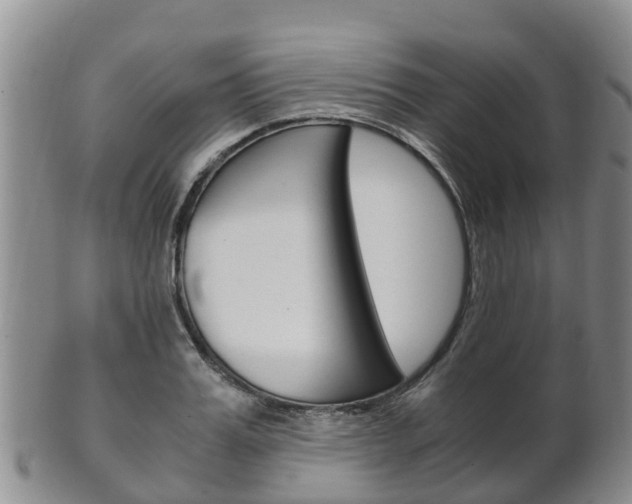 X0000102520987200808081026