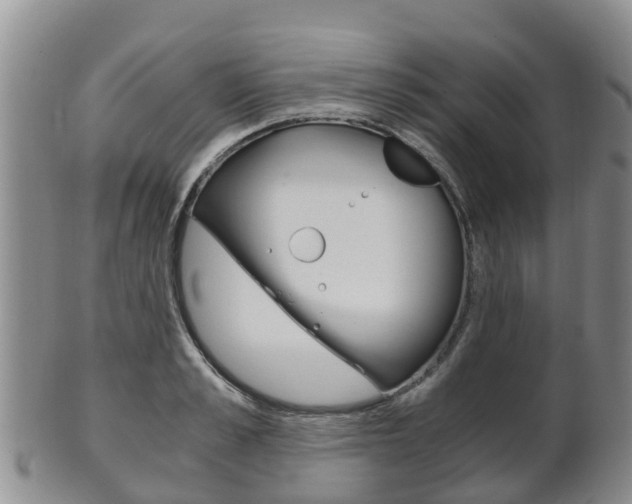 X0000102520989200808081026