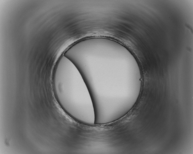 X0000102520990200808081026