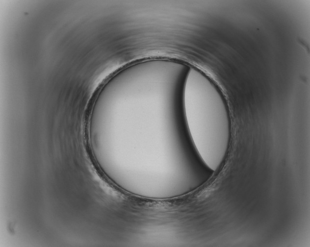 X0000102520991200808081025