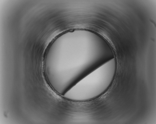 X0000102520992200808081025