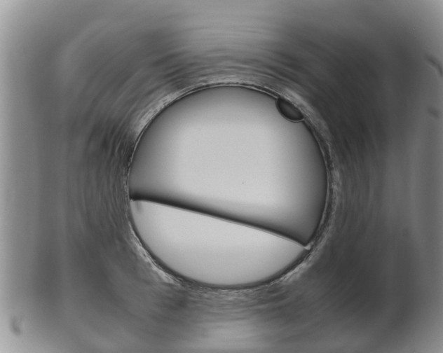X0000102520993200808081025