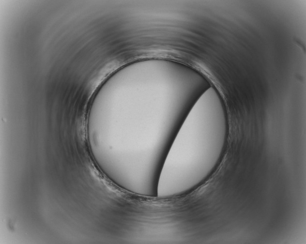 X0000102520994200808081025