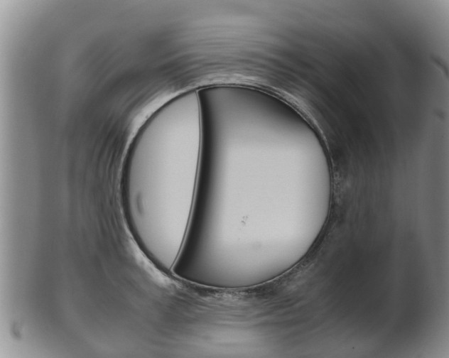 X0000102520995200808081025