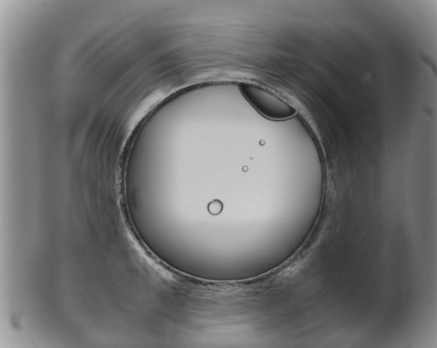 X0000102520997200808081025