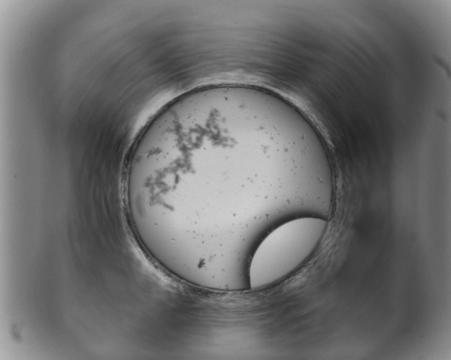 X0000102520998200808081025