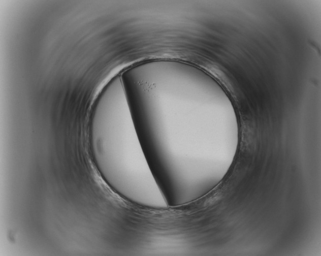 X0000102521000200808081025