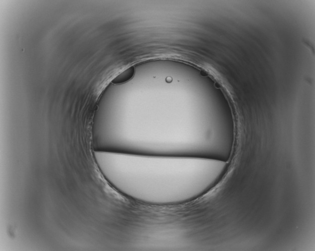 X0000102521001200808081025