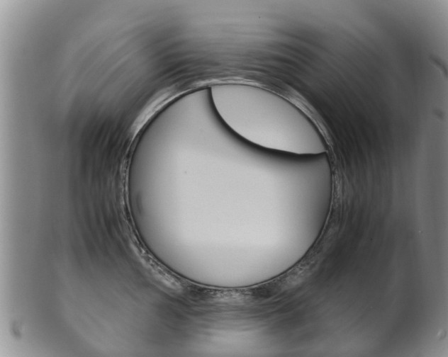 X0000102521002200808081025