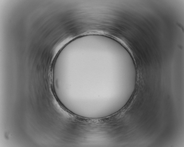 X0000102521003200808081025