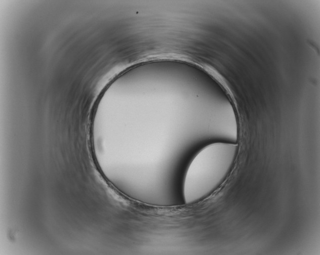 X0000102521005200808081025