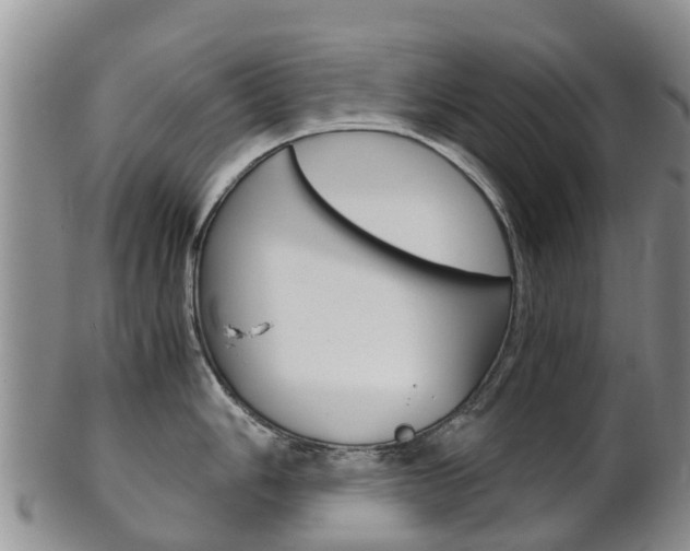 X0000102521006200808081025