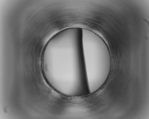 X0000102521007200808081025