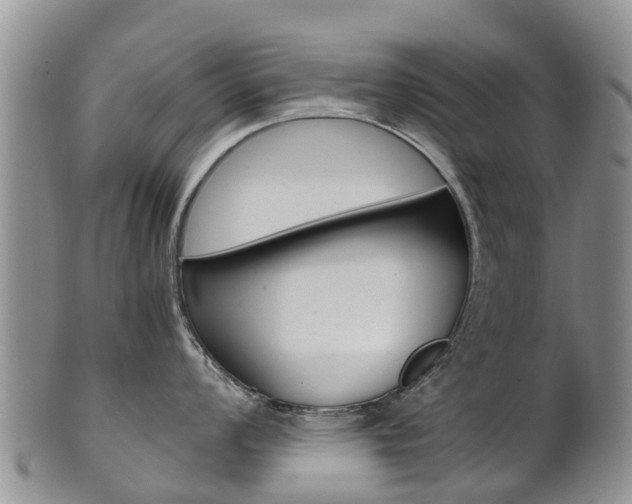 X0000102521008200808081025