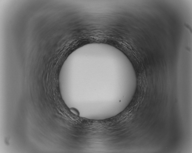 X0000102521009200808081024