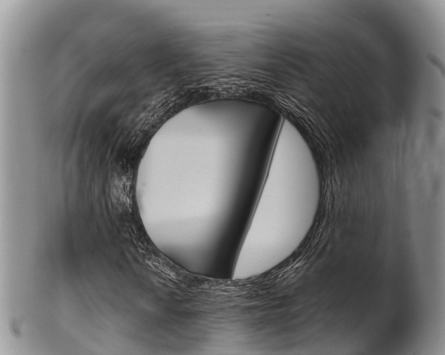 X0000102521010200808081024