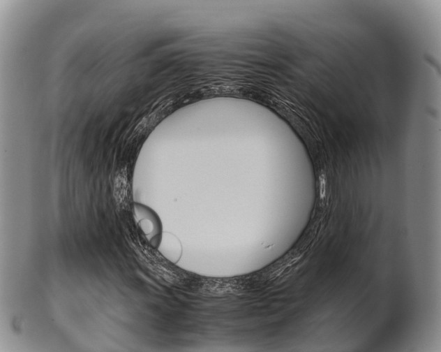 X0000102521011200808081024