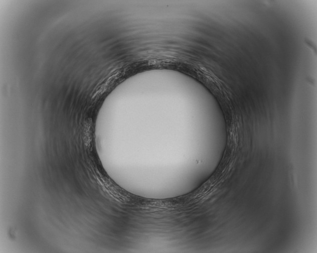 X0000102521012200808081024