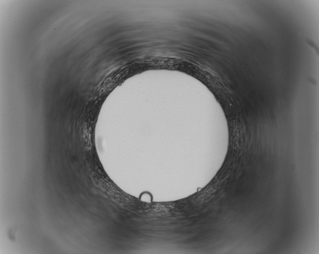 X0000102521013200808081024