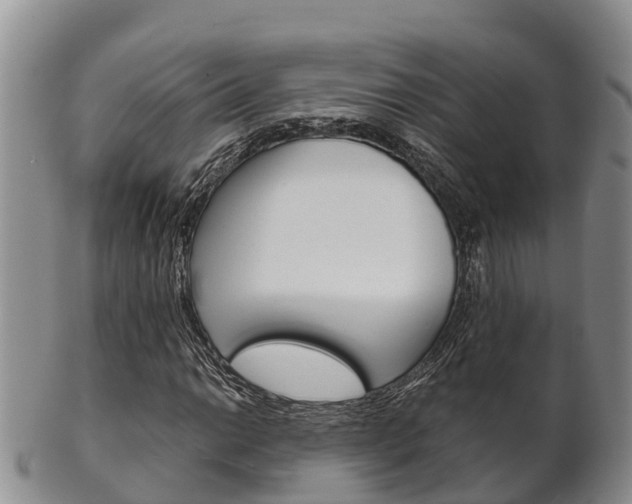 X0000102521014200808081025