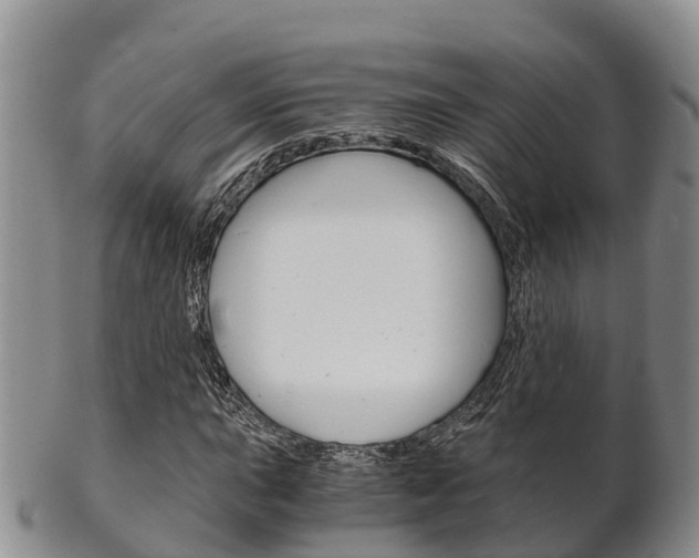 X0000102521015200808081025