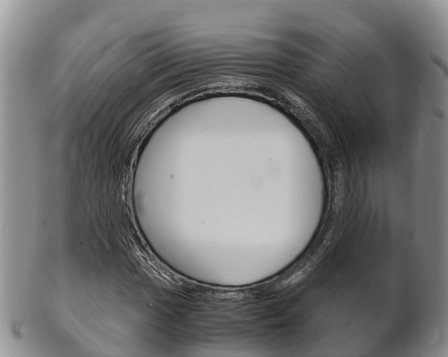 X0000102521017200808081025