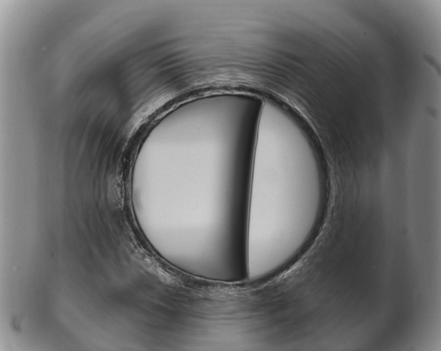 X0000102521018200808081025