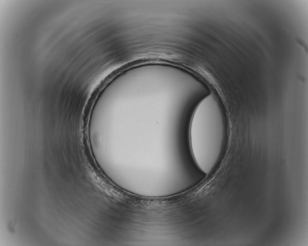 X0000102521020200808081025
