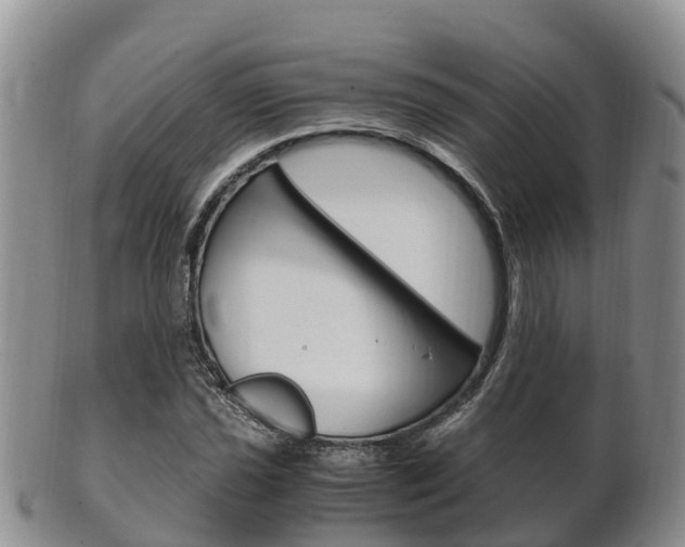X0000102521021200808081025