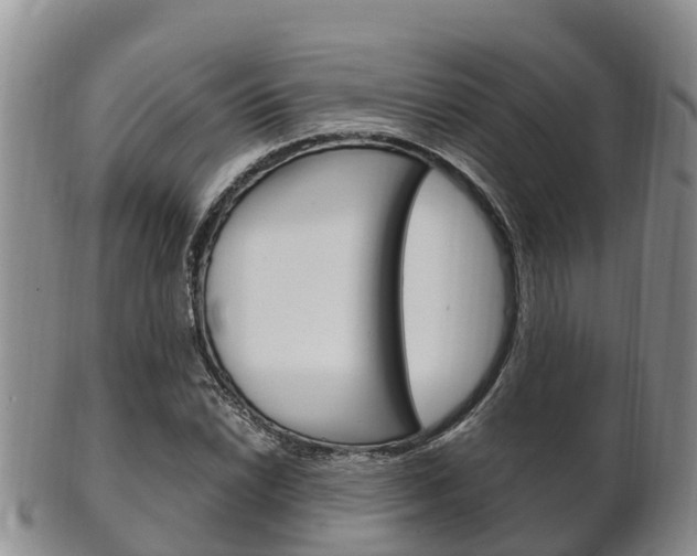 X0000102521022200808081025