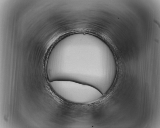 X0000102521023200808081025