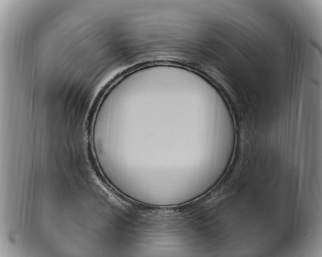 X0000102521024200808081025