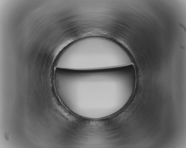 X0000102521026200808081025