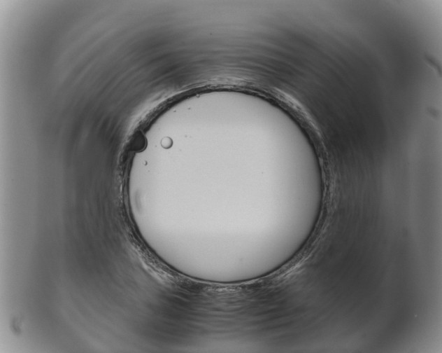 X0000102521027200808081025