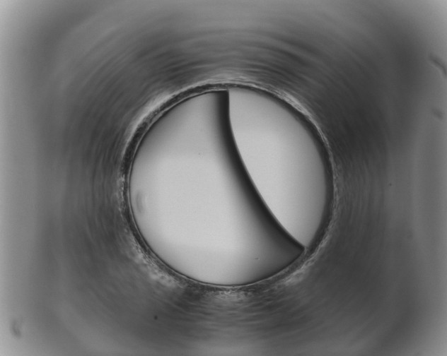 X0000102521029200808081025