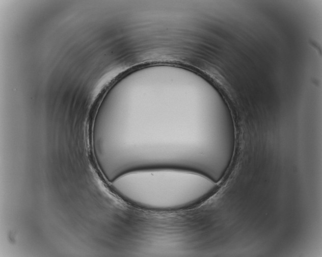 X0000102521030200808081025
