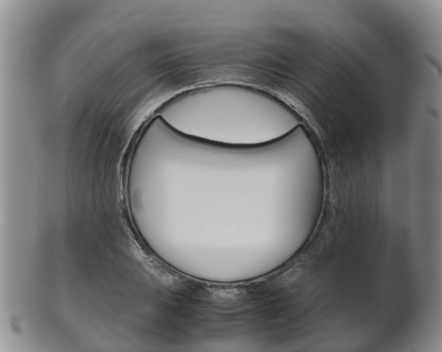 X0000102521031200808081025