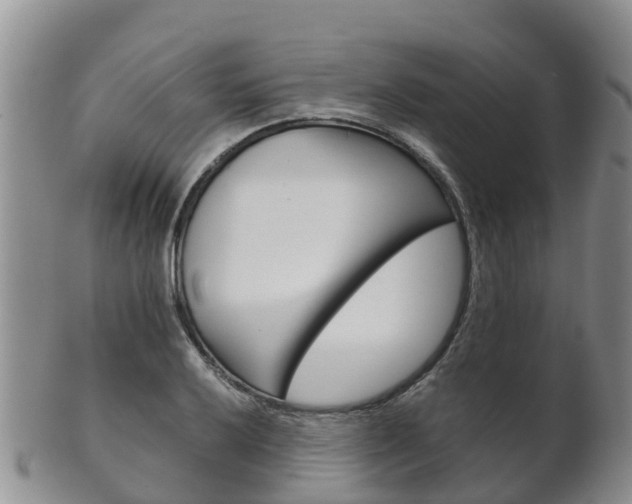 X0000102521032200808081025