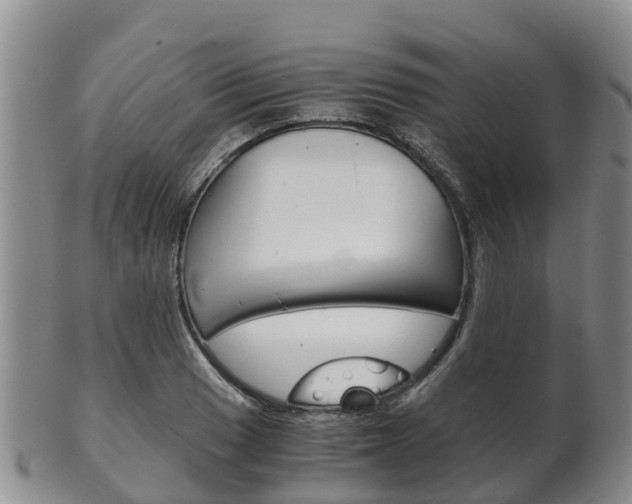 X0000102521033200808081025